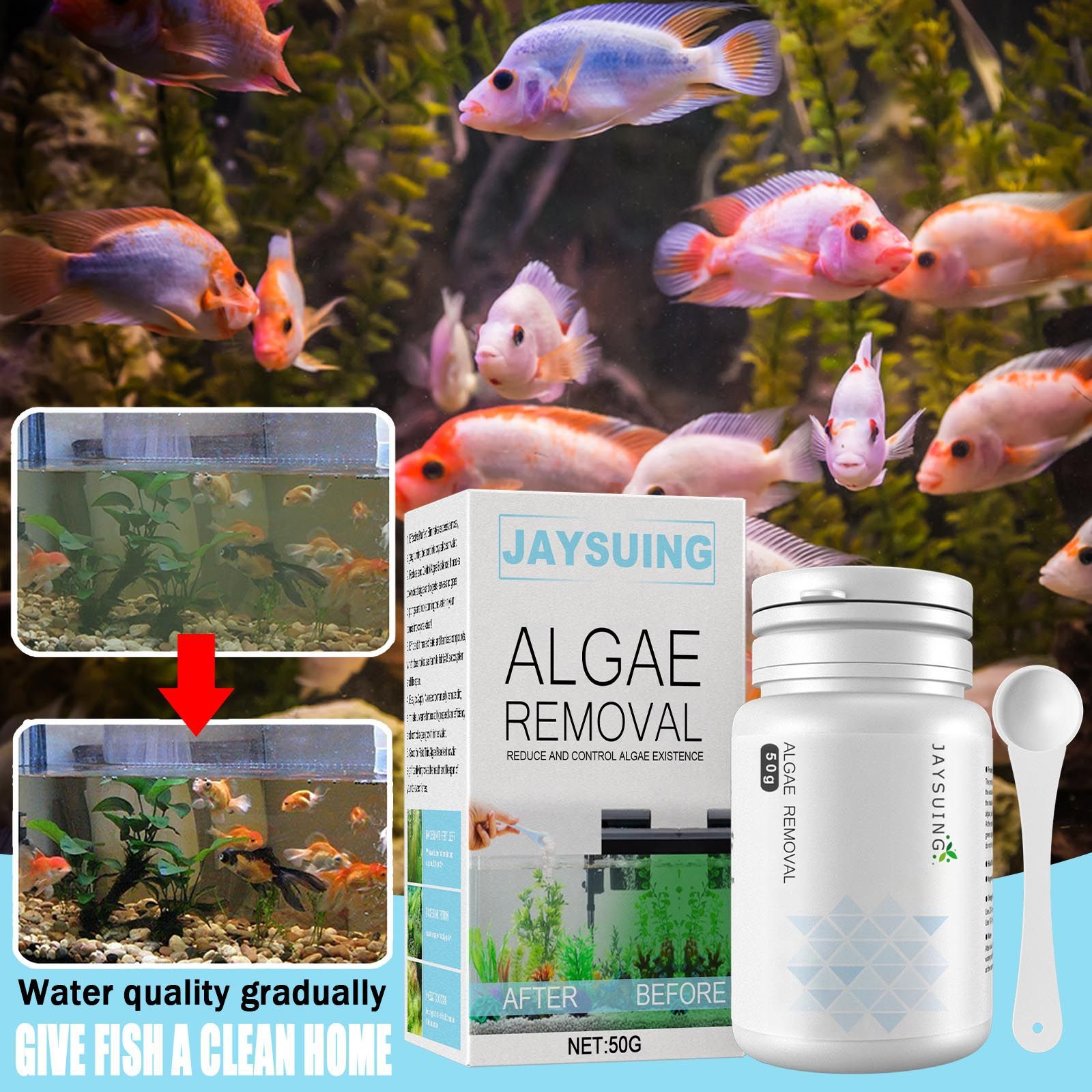 Aquarium Moss - Poudre anti-algues pour aquarium, agent de