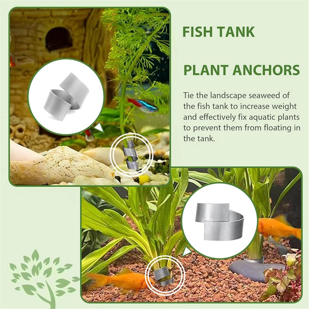 Live Plant Aquarium - Poids pour plantes d'aquarium pour un