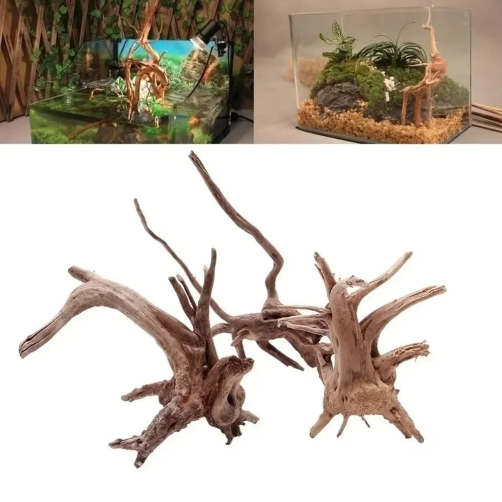 Décoration d'aquarium en bois  - Aquarium Moss avis et prix