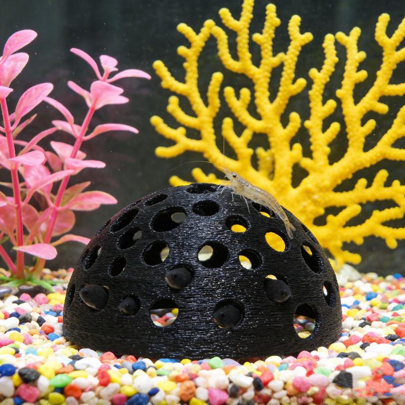 Caverne cachée pour aquarium,  - Aquarium Plants Live avis et prix