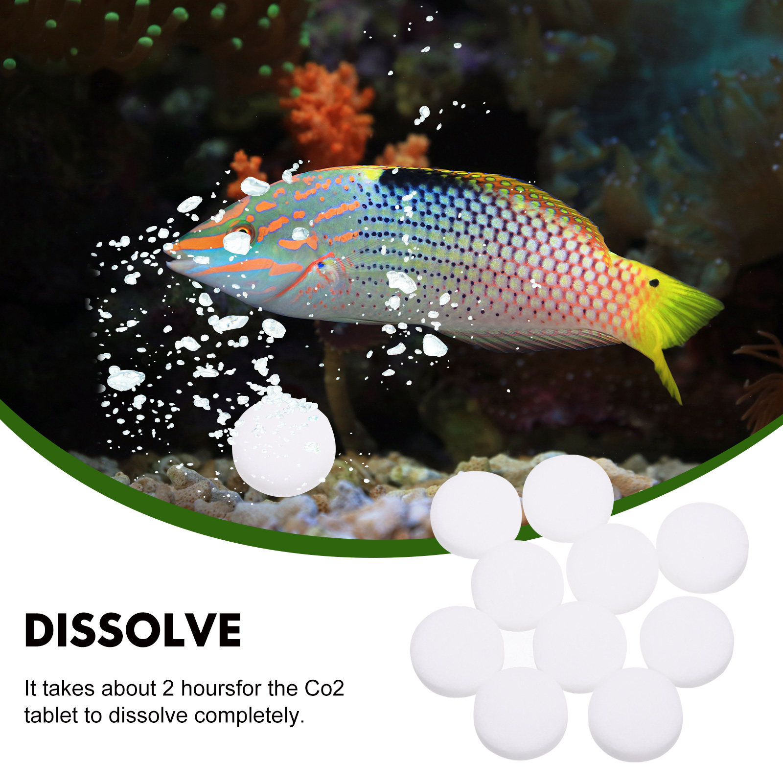 2 sachets d'engrais en comprim - Aquarium Fertilizer avis et prix