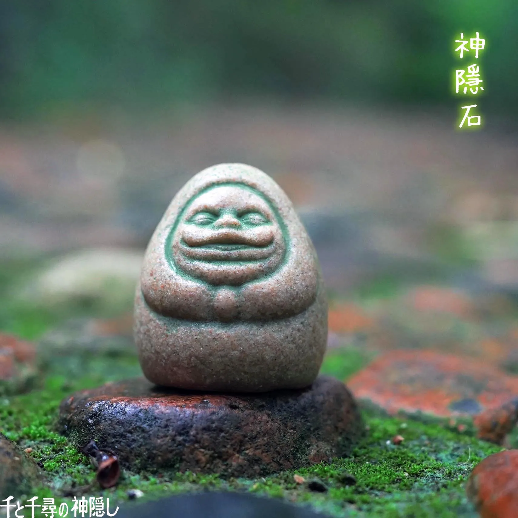 Kaminishi Cacher Dharma Anime  - Aquarium Moss avis et prix