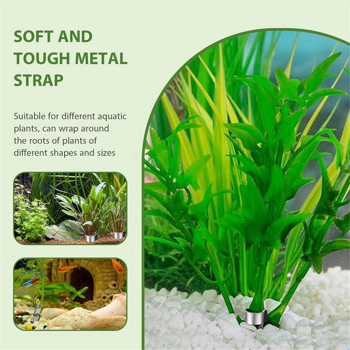 Poids pour plantes d'aquarium  - Live Plant Aquarium avis et prix