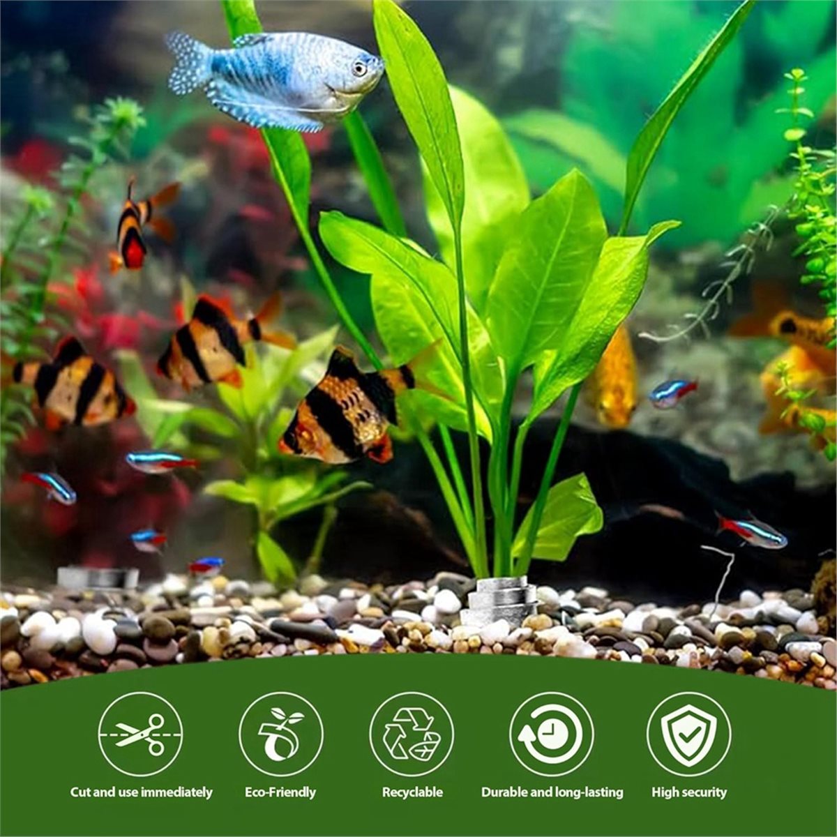 Poids pour plantes d'aquarium  - Live Plant Aquarium avis et prix