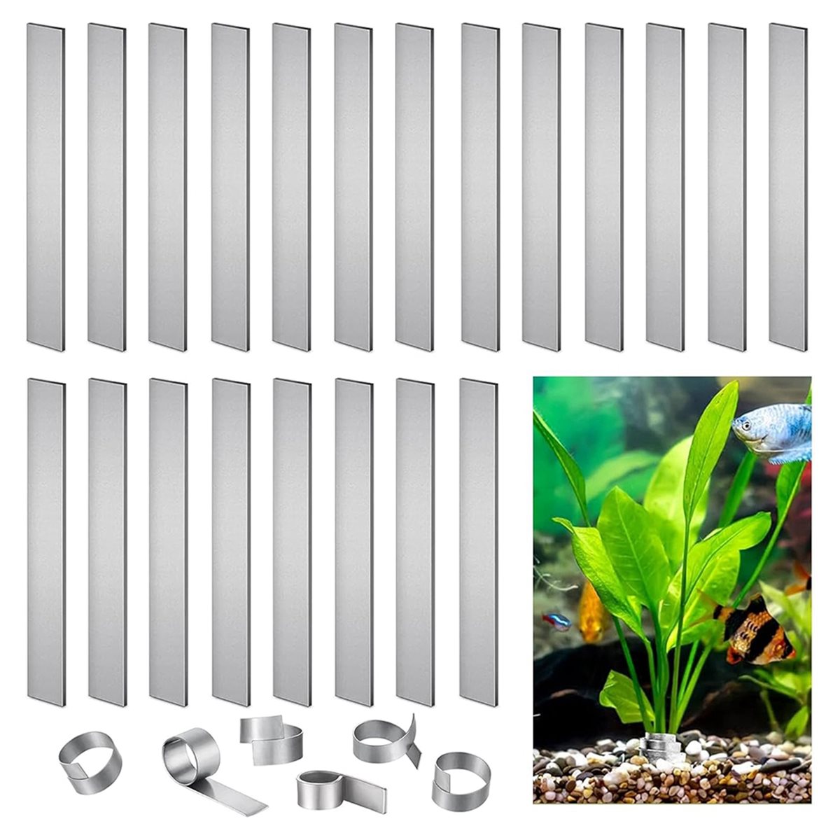 Poids pour plantes d'aquarium  - Live Plant Aquarium avis et prix