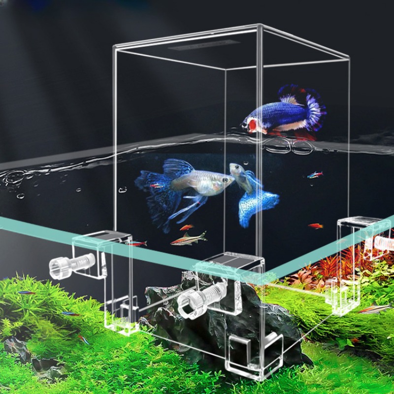Aquarium à pression négative a - Plant Aquarium Pot avis et prix