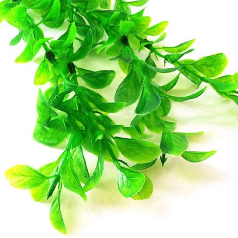 Plantes d'ornement d'aquarium  - Aquarium Driftwood avis et prix