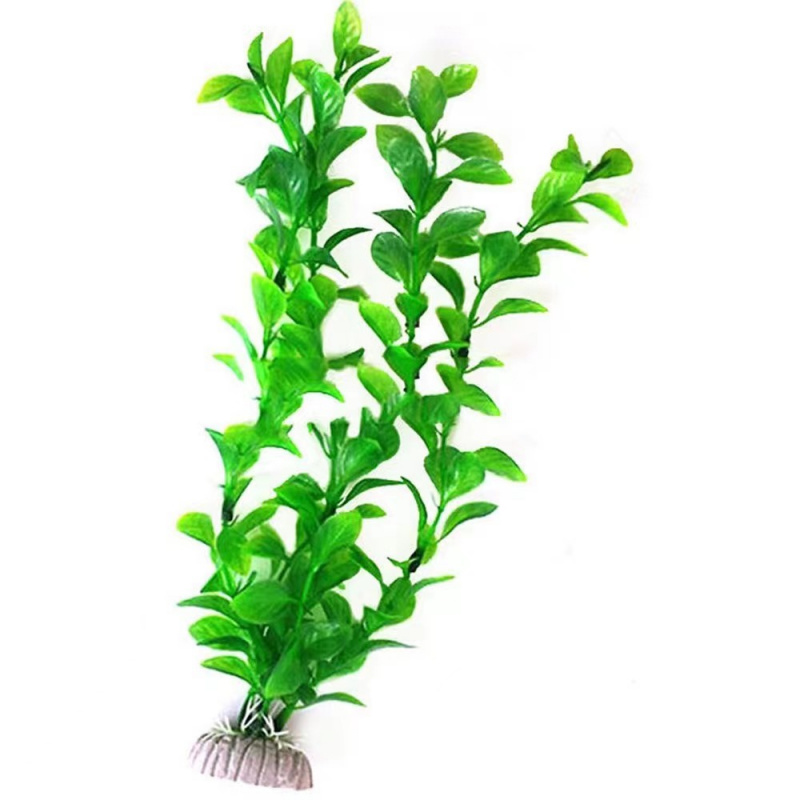 Plantes d'ornement d'aquarium  - Aquarium Driftwood avis et prix