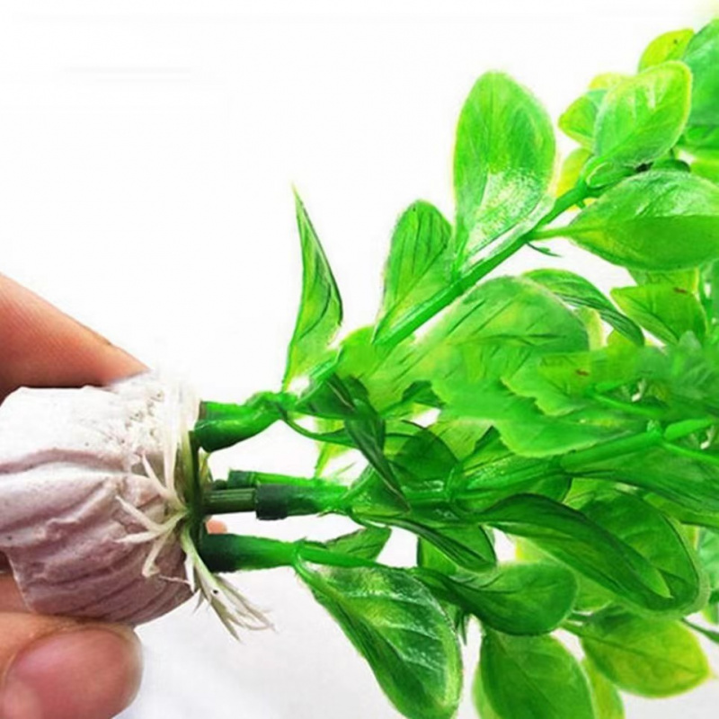 Plantes d'ornement d'aquarium  - Aquarium Driftwood avis et prix