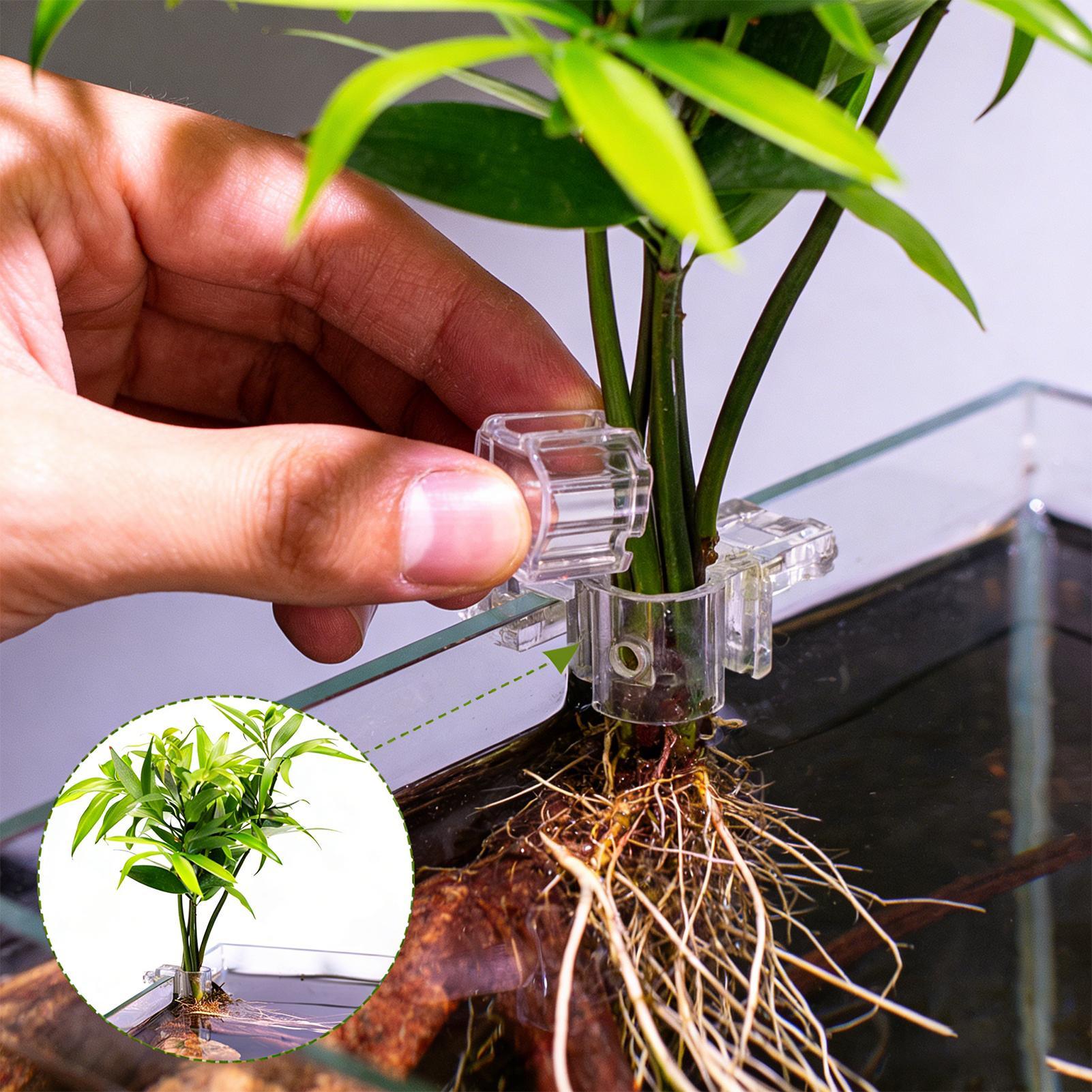 Mini pot de culture pour aquar - Aquarium Plant Holder avis et prix