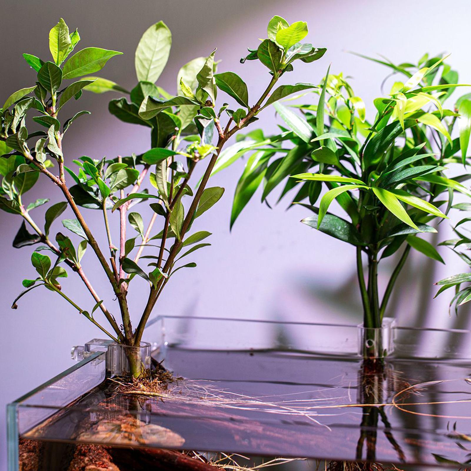 Mini pot de culture pour aquar - Aquarium Plant Holder avis et prix