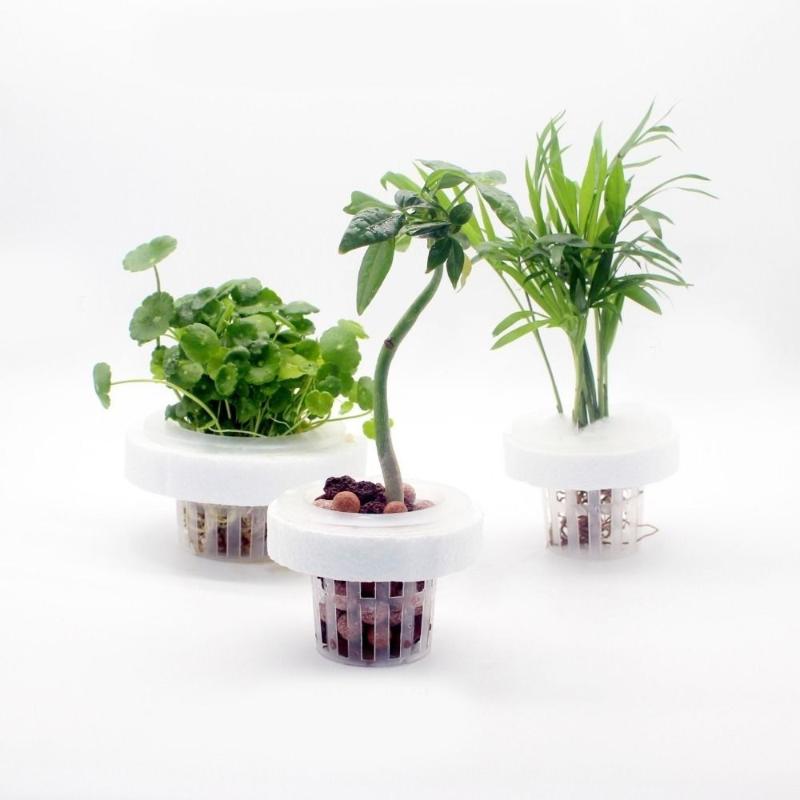 Panier flottant pour plantes a - Aquarium Plant Holder avis et prix