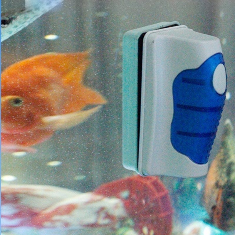 Grattoir à verre pour aquarium - Planted Aquarium Cleaning avis et prix