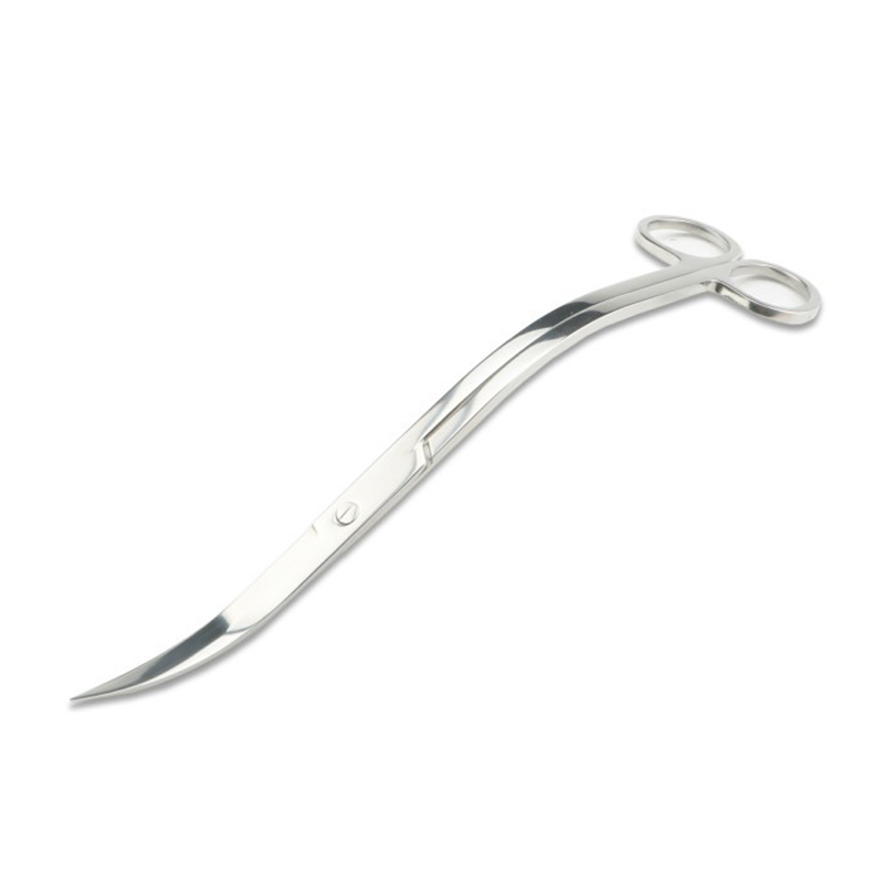 Ciseaux d'aquarium, pincettes, - Aquarium Plant Holder avis et prix