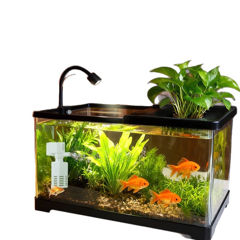 Aquarium pour salon, avec couv - Aquarium Plants Live avis et prix