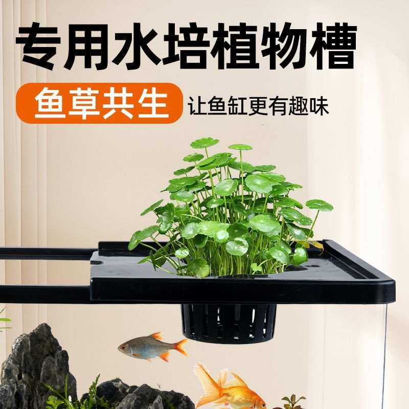 Aquarium pour salon, avec couv - Aquarium Plants Live avis et prix