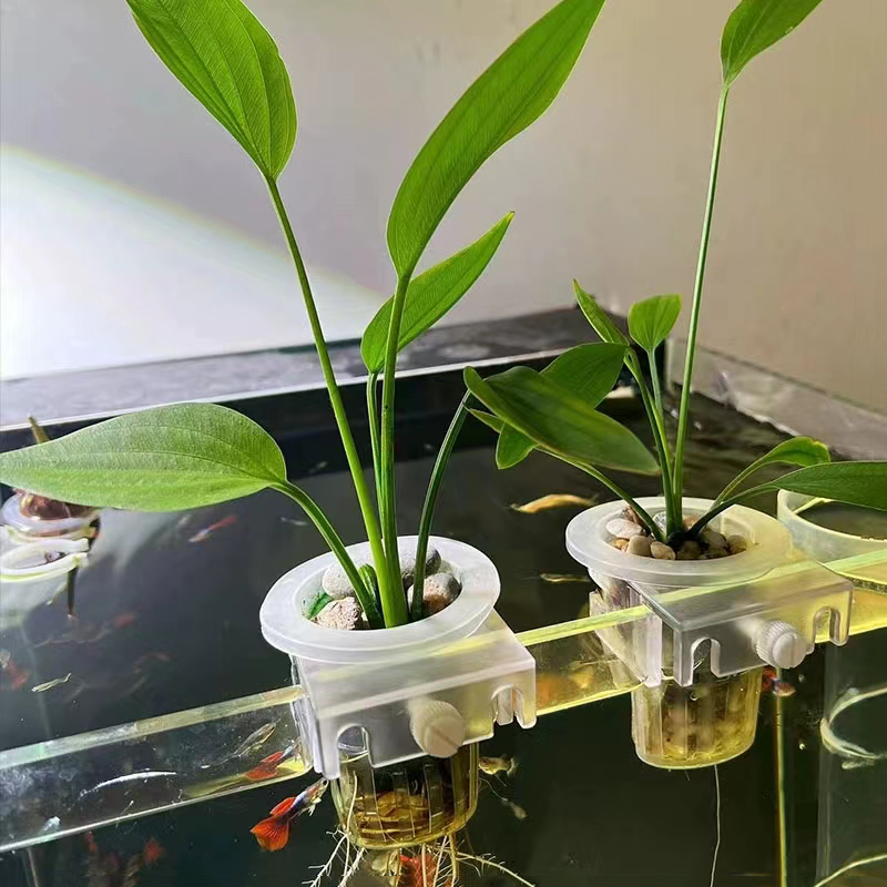Panier de plantation d'aquariu - Aquarium Plant Holder avis et prix