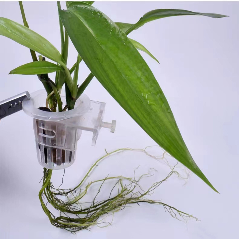 Panier de plantation d'aquariu - Aquarium Plant Holder avis et prix