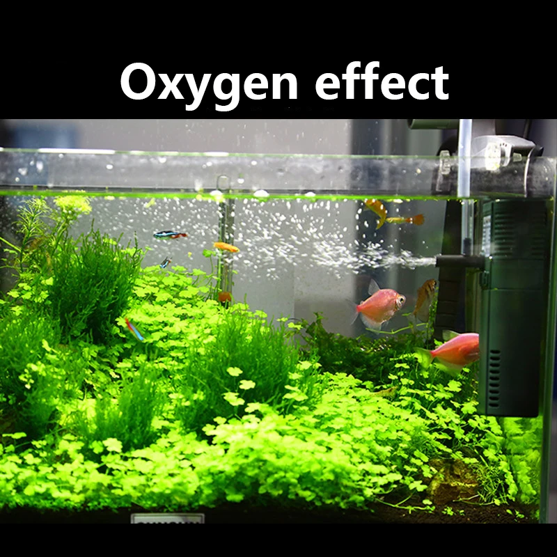 Pompe à oxygène submersible SU - Aquarium Planted Tank Filter avis et prix